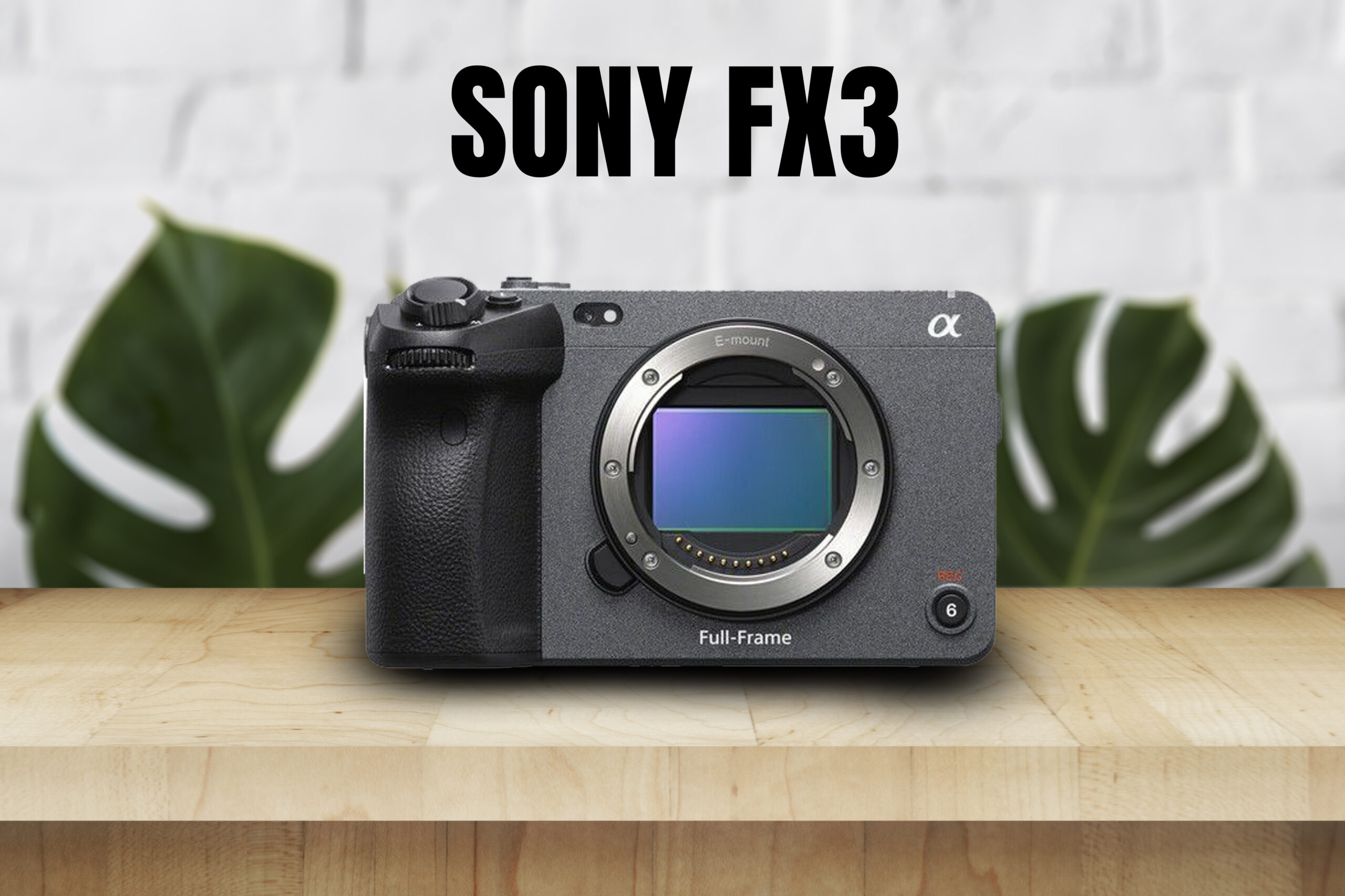 Sony fx3